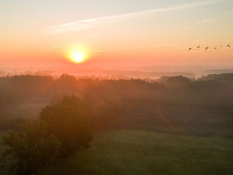 Morgennebel-e1677059755964