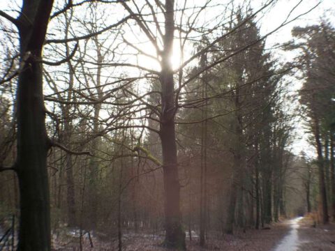 Jungfernstieg_gelberWW