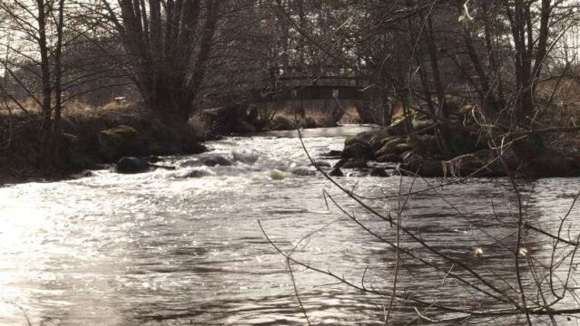Seevebrücke_blauerWW