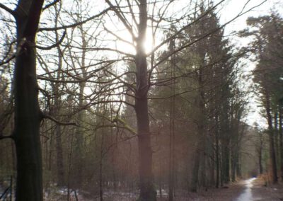 Unser Jungfernstieg