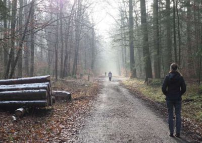 Wanderweg durch den Klecker Wald ab Eichenort