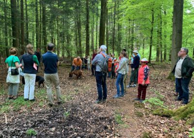 Familienwanderung im Klecker Wald