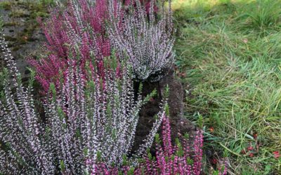 Unser schönes Bendestorf