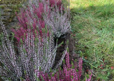 Heide am Bendestorf Flaggenplatz