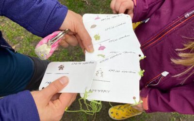 Frühlings Waldwanderung