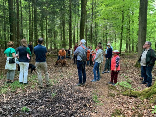 Familienwanderung im Klecker Wald