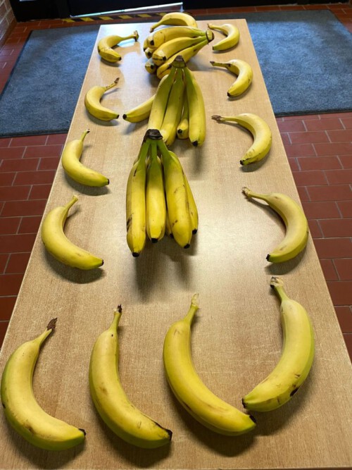 Kindertheater "Gute Nacht Gorilla".